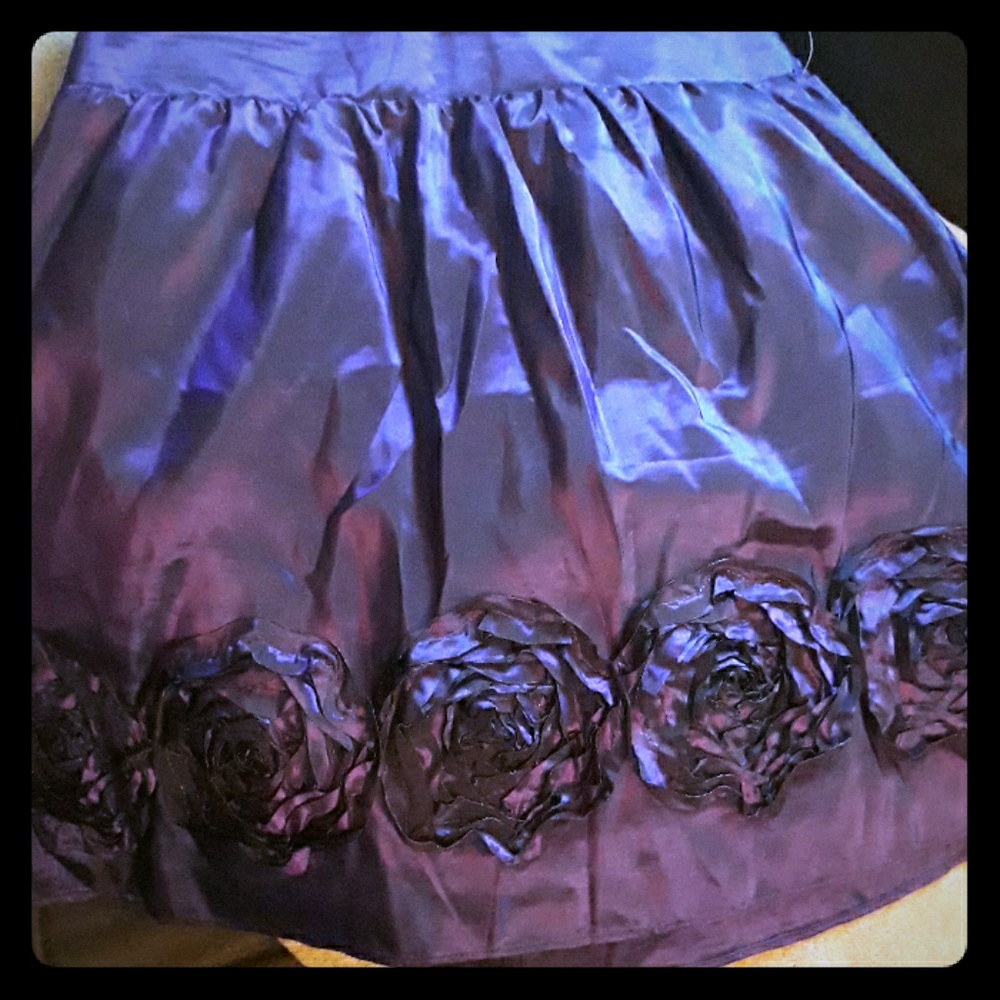Beautiful purple skirt